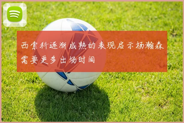 西索科逐渐成熟的表现启示杨瀚森需要更多出场时间