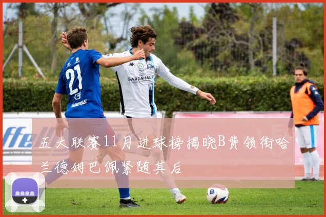 五大联赛11月进球榜揭晓B费领衔哈兰德姆巴佩紧随其后