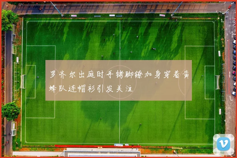 罗齐尔出庭时手铐脚镣加身穿着黄蜂队连帽衫引发关注