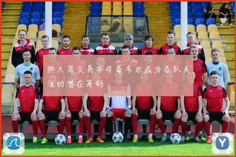 热火若交易字母哥韦尔成为各队关注的潜在筹码